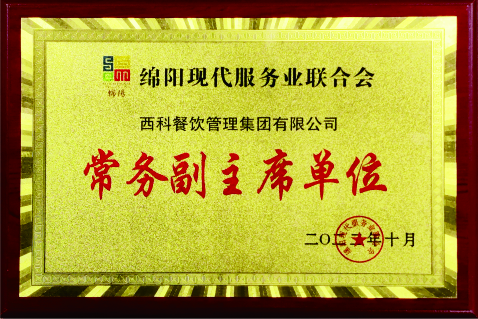 绵阳现代服务业团结会常务副主席