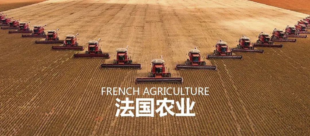 法国农业：欧盟农业大国，靠这6大战略制胜市场